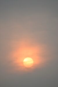 Read more about the article Like the Sun